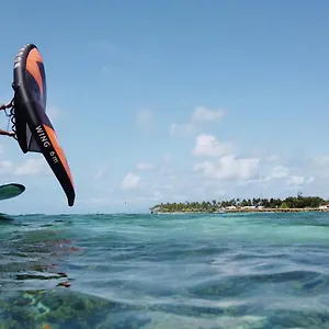 Cocodile Sainte-Anne (Grande-Terre)